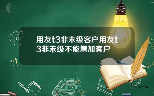 用友t3非末级客户用友t3非末级不能增加客户