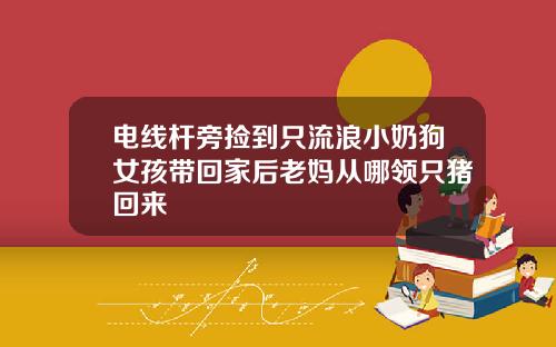 电线杆旁捡到只流浪小奶狗女孩带回家后老妈从哪领只猪回来