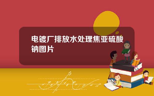 电镀厂排放水处理焦亚硫酸钠图片