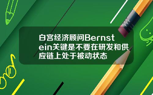 白宫经济顾问Bernstein关键是不要在研发和供应链上处于被动状态
