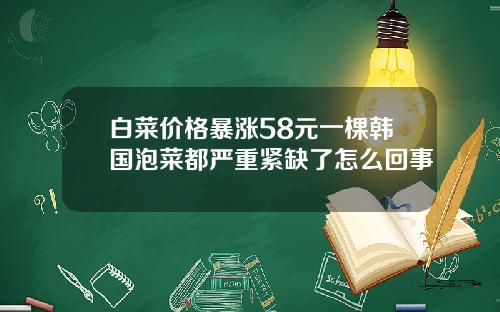 白菜价格暴涨58元一棵韩国泡菜都严重紧缺了怎么回事