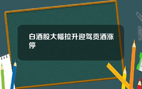 白酒股大幅拉升迎驾贡酒涨停