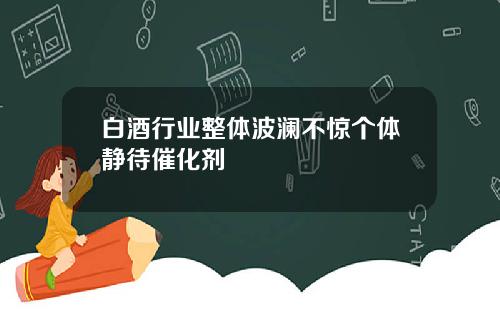 白酒行业整体波澜不惊个体静待催化剂