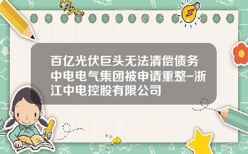 百亿光伏巨头无法清偿债务中电电气集团被申请重整-浙江中电控股有限公司