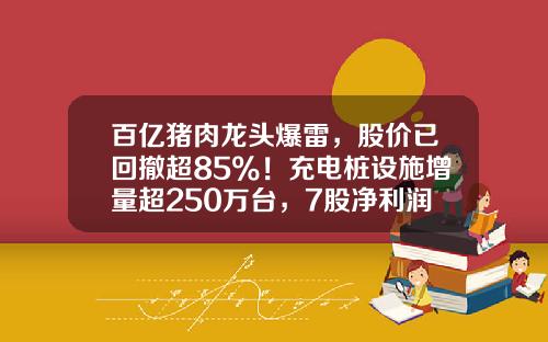 百亿猪肉龙头爆雷，股价已回撤超85%！充电桩设施增量超250万台，7股净利润有望翻倍增长，这只股今日开盘暴拉-股票宝资讯