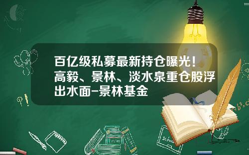 百亿级私募最新持仓曝光！高毅、景林、淡水泉重仓股浮出水面-景林基金