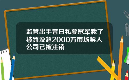 监管出手昔日私募冠军栽了被罚没超2000万市场禁入公司已被注销