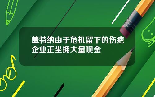 盖特纳由于危机留下的伤疤企业正坐拥大量现金