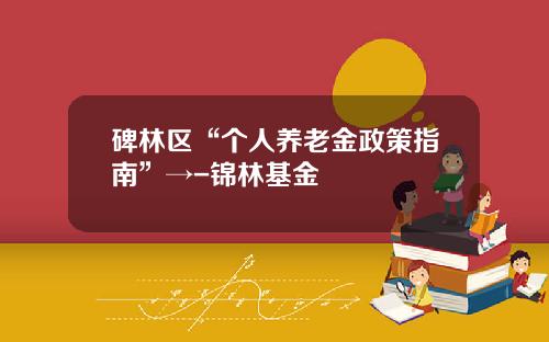 碑林区“个人养老金政策指南”→-锦林基金
