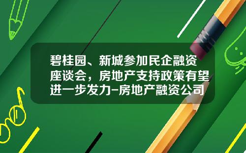 碧桂园、新城参加民企融资座谈会，房地产支持政策有望进一步发力-房地产融资公司