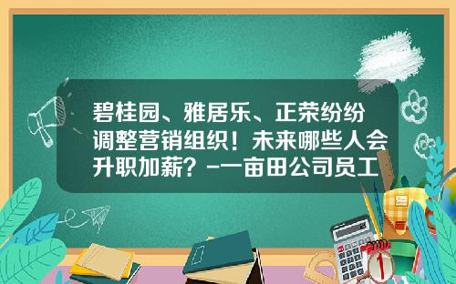 碧桂园、雅居乐、正荣纷纷调整营销组织！未来哪些人会升职加薪？-一亩田公司员工待遇