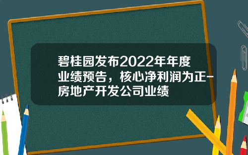 碧桂园发布2022年年度业绩预告，核心净利润为正-房地产开发公司业绩