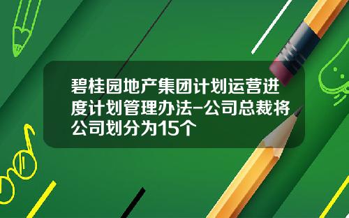 碧桂园地产集团计划运营进度计划管理办法-公司总裁将公司划分为15个