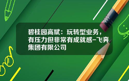 碧桂园高斌：玩转型业务，有压力但非常有成就感-飞奔集团有限公司