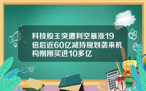 科技股王突遭利空暴涨19倍后近60亿减持规划袭来机构刚刚买进10多亿