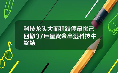 科技龙头大面积跌停最惨已回撤37巨量资金出逃科技牛终结