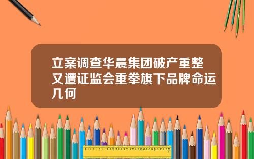 立案调查华晨集团破产重整又遭证监会重拳旗下品牌命运几何