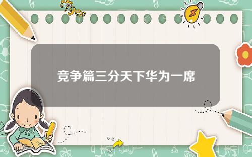 竞争篇三分天下华为一席