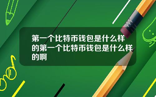 第一个比特币钱包是什么样的第一个比特币钱包是什么样的啊