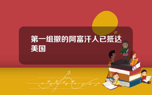 第一组撤的阿富汗人已抵达美国