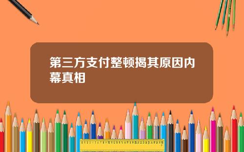 第三方支付整顿揭其原因内幕真相