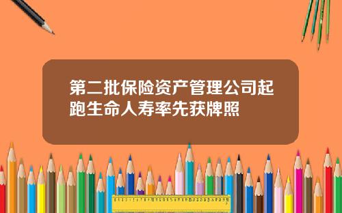 第二批保险资产管理公司起跑生命人寿率先获牌照