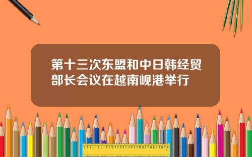 第十三次东盟和中日韩经贸部长会议在越南岘港举行
