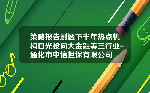 策略报告剧透下半年热点机构目光投向大金融等三行业-通化市中信担保有限公司