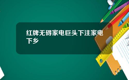 红牌无碍家电巨头下注家电下乡
