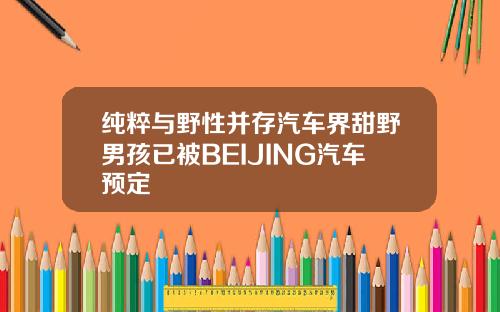 纯粹与野性并存汽车界甜野男孩已被BEIJING汽车预定