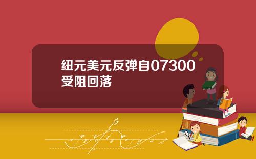 纽元美元反弹自07300受阻回落