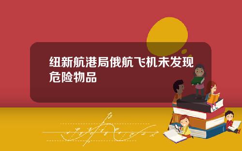 纽新航港局俄航飞机未发现危险物品