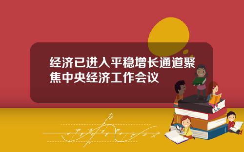 经济已进入平稳增长通道聚焦中央经济工作会议