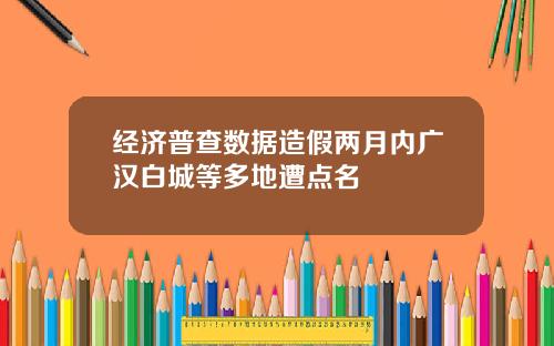 经济普查数据造假两月内广汉白城等多地遭点名