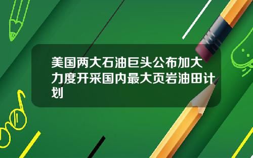 美国两大石油巨头公布加大力度开采国内最大页岩油田计划