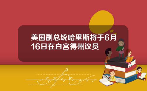 美国副总统哈里斯将于6月16日在白宫得州议员