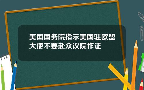 美国国务院指示美国驻欧盟大使不要赴众议院作证