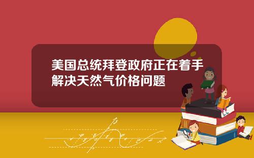 美国总统拜登政府正在着手解决天然气价格问题