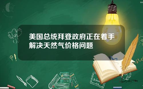 美国总统拜登政府正在着手解决天然气价格问题