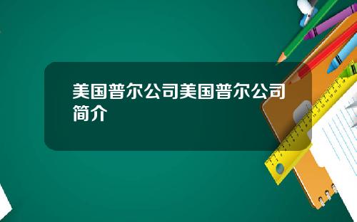 美国普尔公司美国普尔公司简介