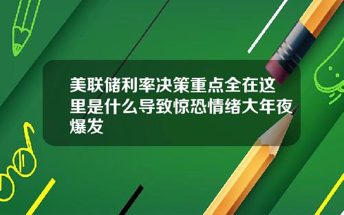 美联储利率决策重点全在这里是什么导致惊恐情绪大年夜爆发