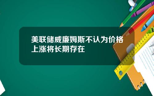 美联储威廉姆斯不认为价格上涨将长期存在