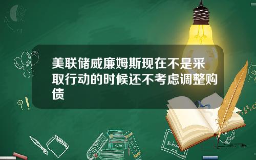 美联储威廉姆斯现在不是采取行动的时候还不考虑调整购债