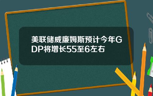 美联储威廉姆斯预计今年GDP将增长55至6左右