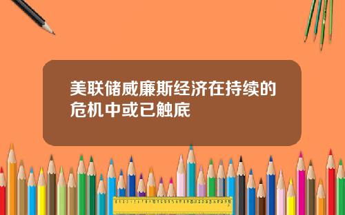美联储威廉斯经济在持续的危机中或已触底