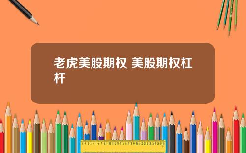 老虎美股期权 美股期权杠杆