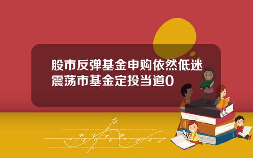 股市反弹基金申购依然低迷震荡市基金定投当道0