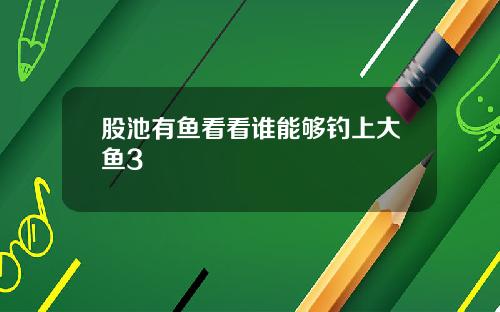 股池有鱼看看谁能够钓上大鱼3