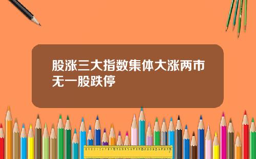 股涨三大指数集体大涨两市无一股跌停