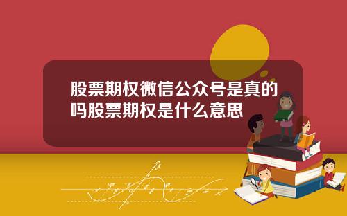 股票期权微信公众号是真的吗股票期权是什么意思